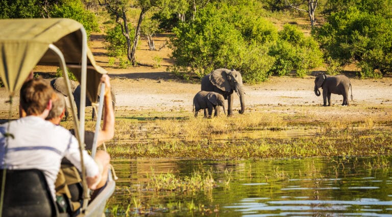 Botswana & Simbabwe – Auf den Spuren der Wildnis