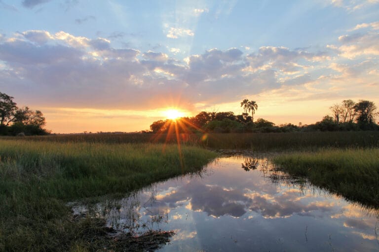 Botswana: Horizonte der Wildnis 