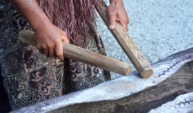 Cook Islander man plays on a large wooden log Pate drum instrument in Rarotonga, Cook Islands.Rael people. Copy space
