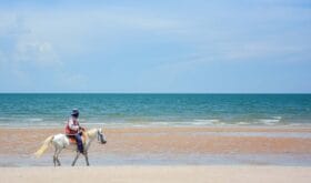 Man riding the white horse on the beach among beautiful seascape of Huahin, Thailand
