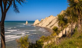 Cape Kidnappers with cabbage trees (Cordyline australis) in front, Napier, New Zealand