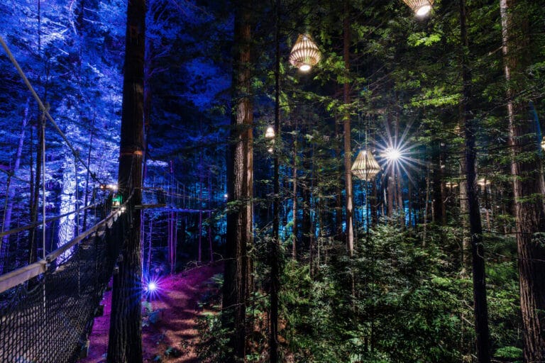 Abenteuer & Entspannung auf Neuseelands Nordinsel