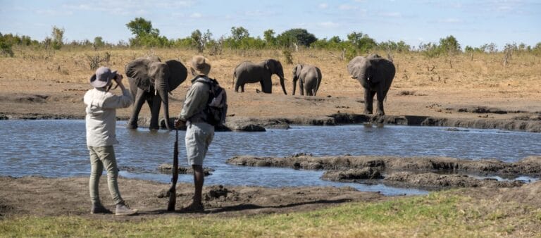 Botswana & Simbabwe – Auf den Spuren der Wildnis