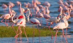 CheckIn:07.06.2017
Valid:31.12.2019
Changed:09.07.2019
4301313-1618193