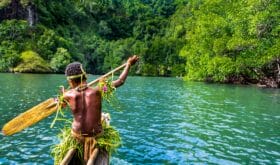 Yang sportive indigenous tribal boy with a paddle in a traditional canoe, natural green jungle with mangrove trees background, Melanesia, Papua New Guinea, Tufi