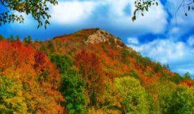 CheckIn:04.07.2017
Valid:31.03.2019
Changed:04.07.2017